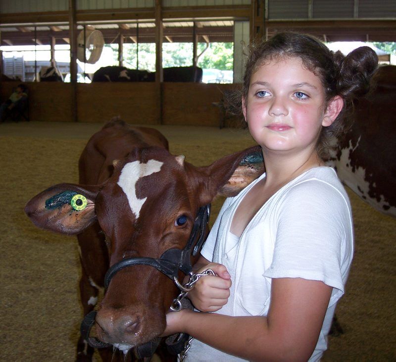 B-york-allbreeddairy-5.jpg